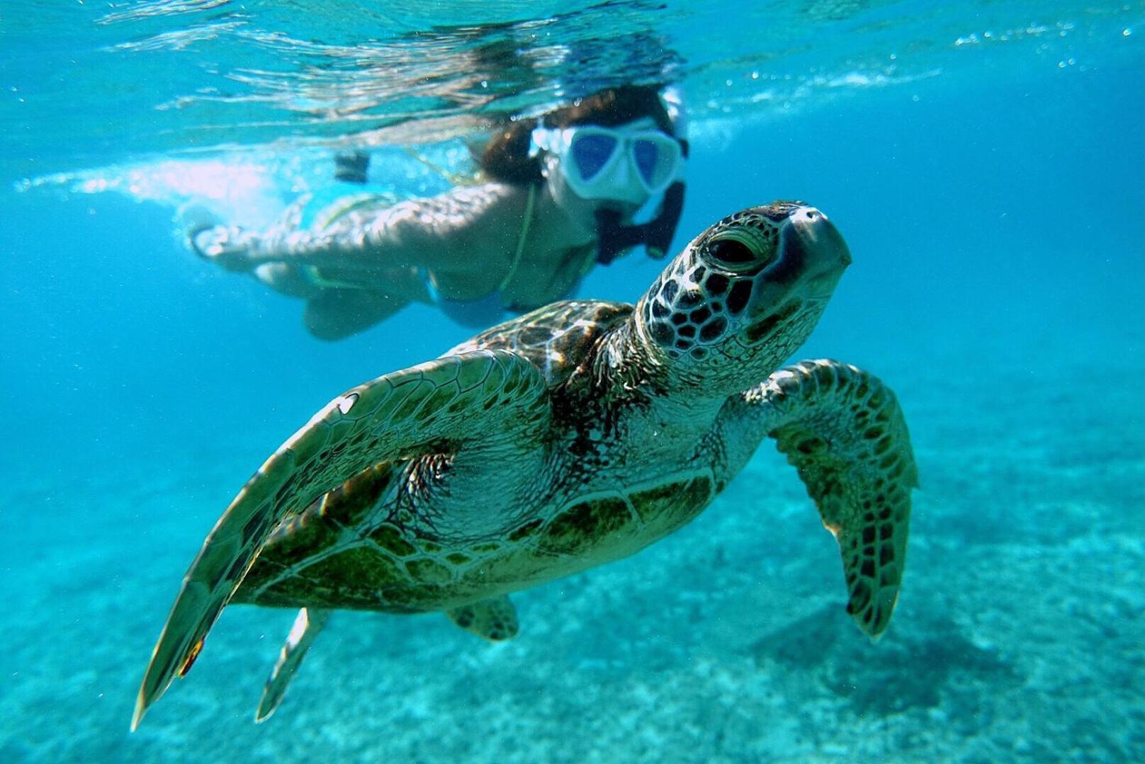 Hanahana Miyakojima Dış mekan fotoğraf